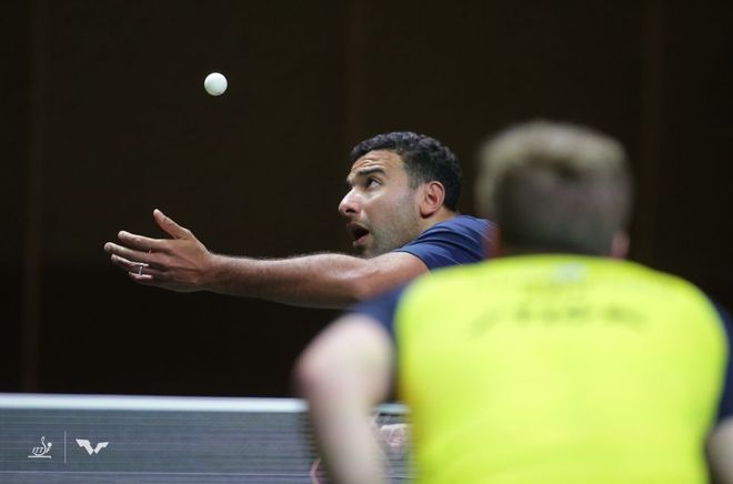 他们都书写 他们都书写