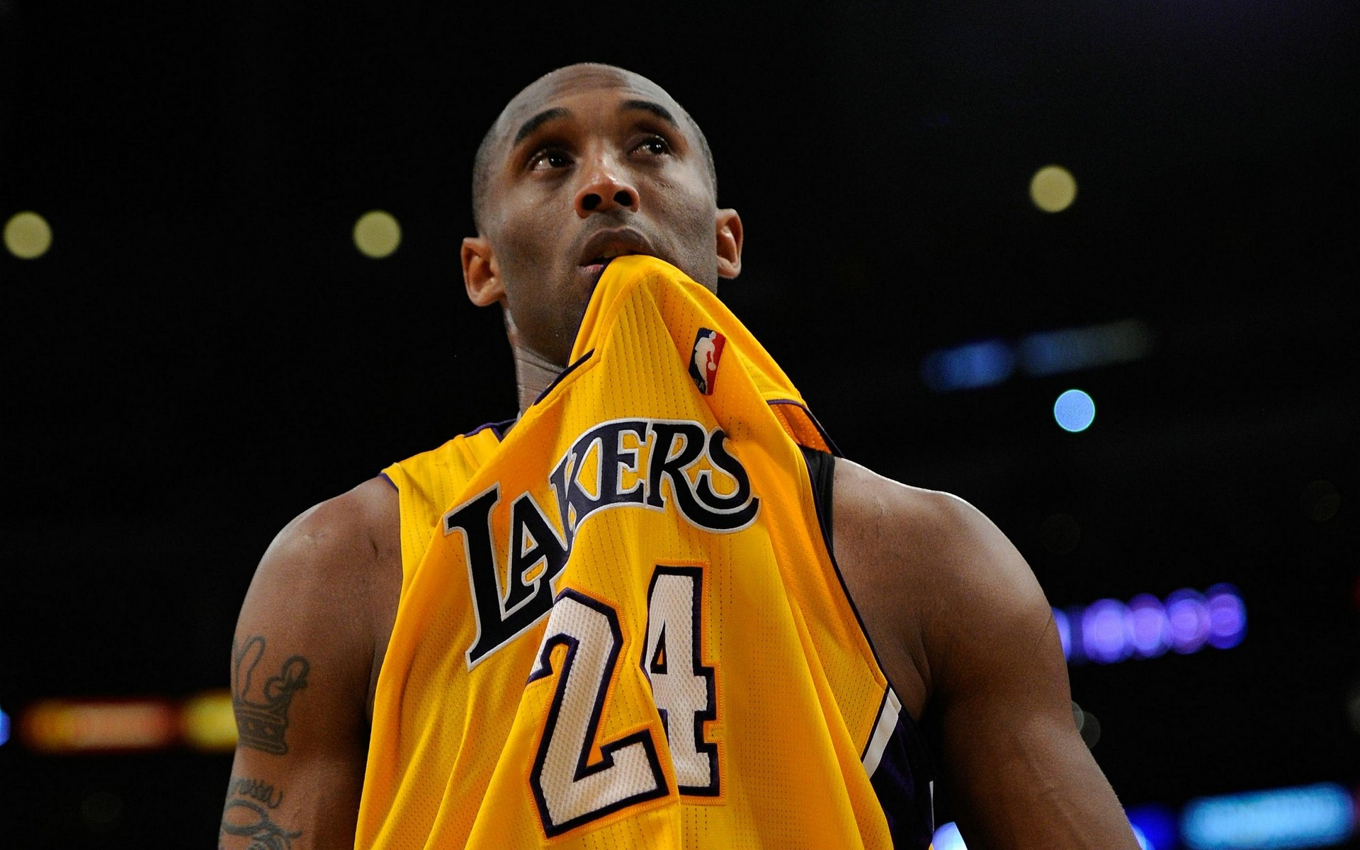 也增加了战 也增加了战