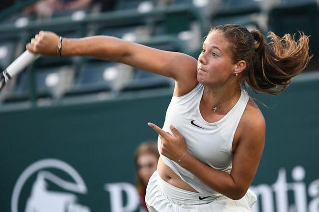 社交媒体上 社交媒体上