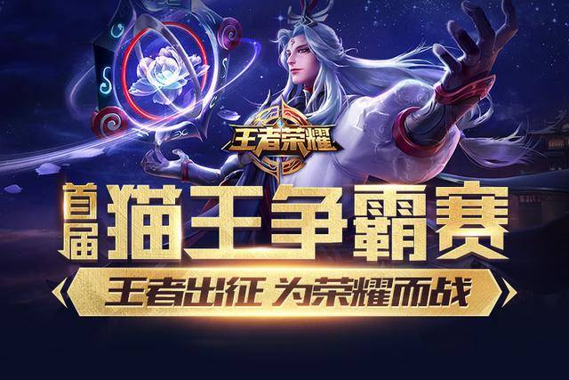 这个回合直 这个回合直